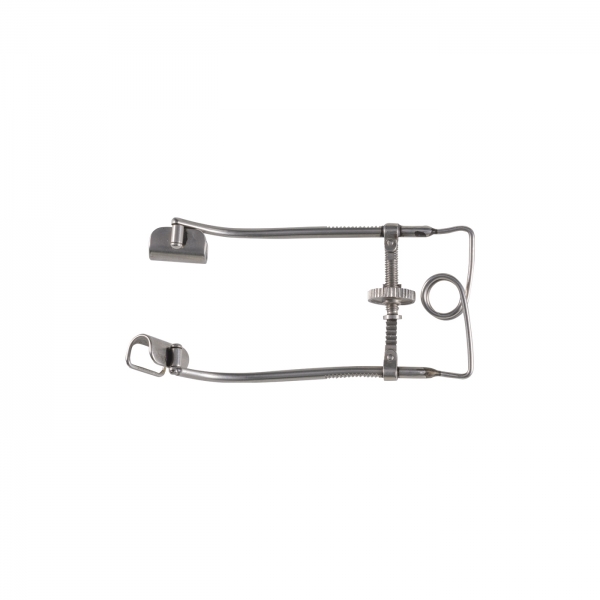 Pley Speculum