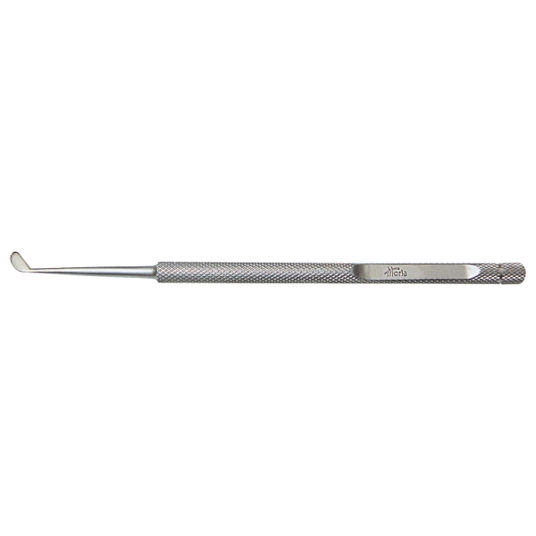 Spatule épithéliale