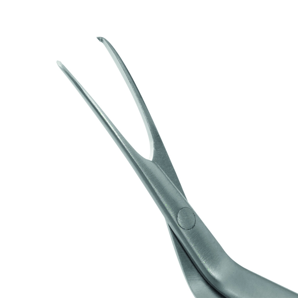 Cross-Action Capsulorhexis Forceps, Serrated tip