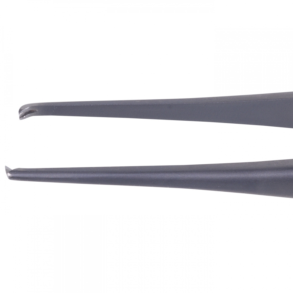 Elschnig Forceps