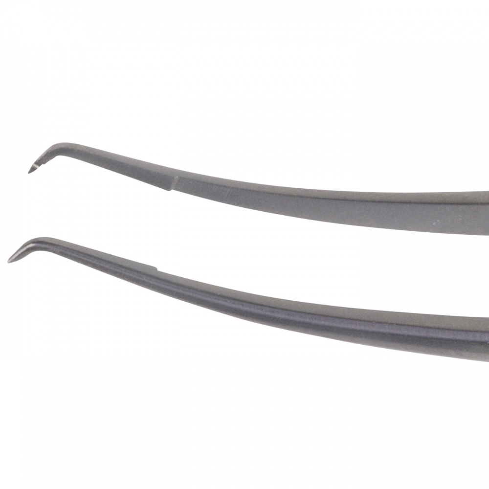 Pierse forceps