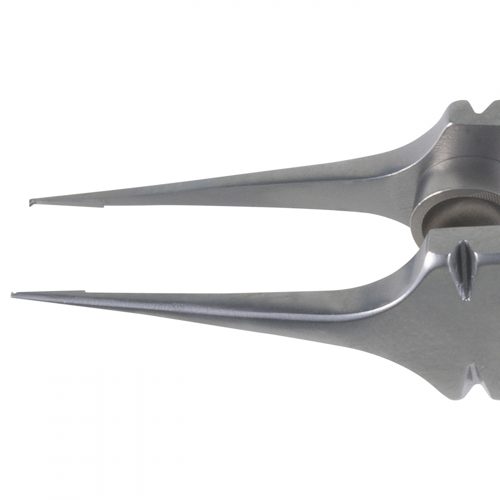 Bonn-Moria Forceps