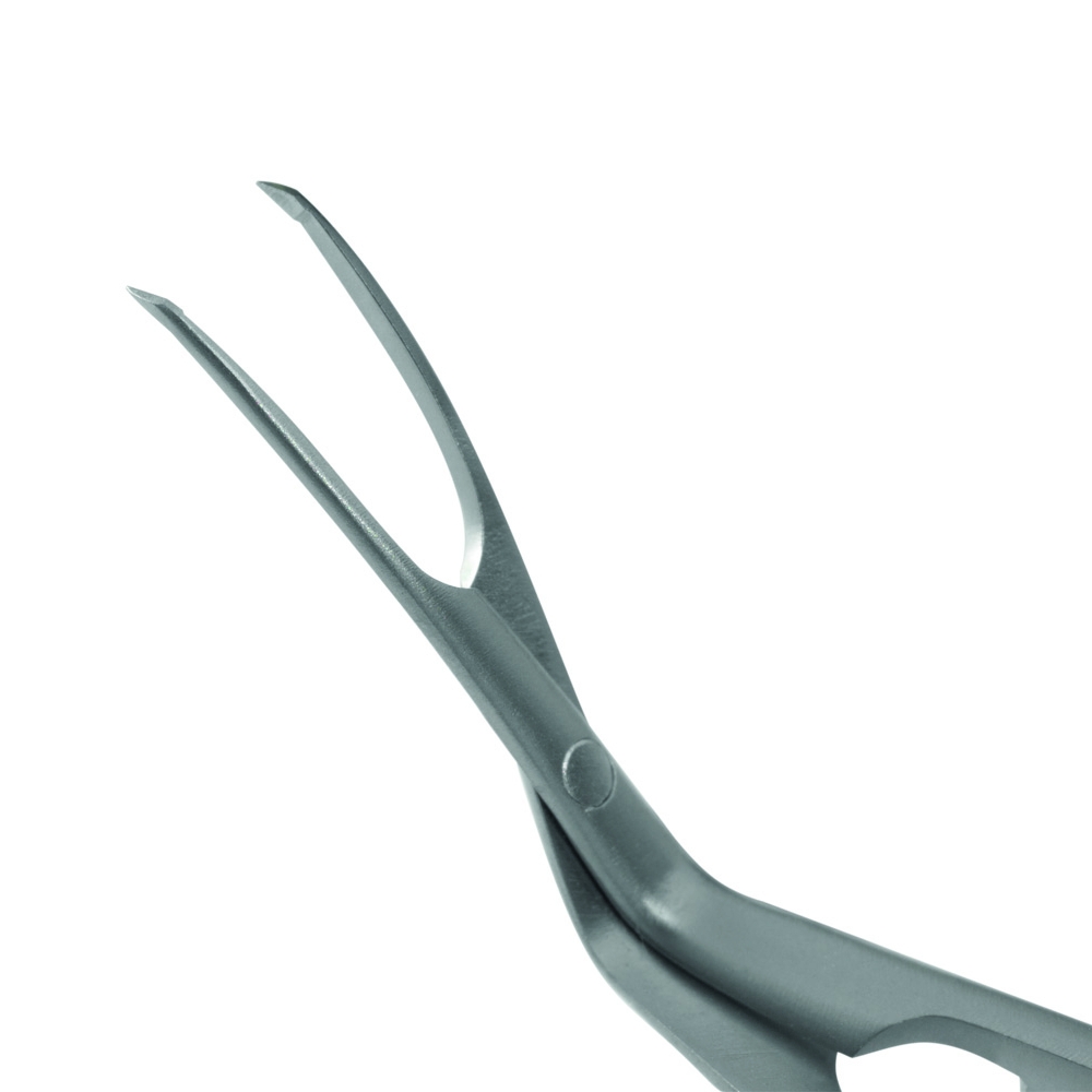 Cross-Action Capsulorhexis Forceps, Crozafon tip