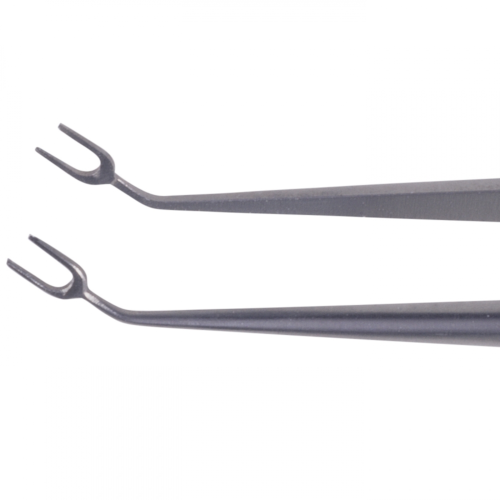 Remky-Polak forceps